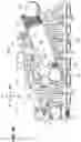 Fig. 25 - Intake device of engine