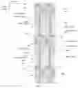Fig. 04 - Liquid crystal display panel