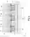 Fig. 06 - Electro-optical device and electronic apparatus