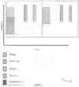 Fig. 04 - SEARCH SPACE OVERBOOKING AND PRUNING