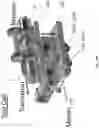 Fig. 21 - BIMANUAL NEUROENDOSCOPIC ROBOT
