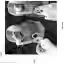Fig. 30 - BIMANUAL NEUROENDOSCOPIC ROBOT
