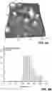 Fig. 09 - Extracellular vesicles and methods of using