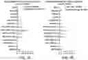 Fig. 05 - DRUG DELIVERY METHODS TARGETING THE LYMPHATIC SYSTEM