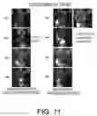 Fig. 17 - DRUG DELIVERY METHODS TARGETING THE LYMPHATIC SYSTEM