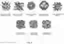 Fig. 06 - Three-dimensional feed spacers with TPMS architectures for membrane-based systems