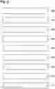 Fig. 09 - Determining a quantity of an analyte in a blood sample