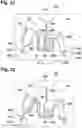 Fig. 19 - Determining a quantity of an analyte in a blood sample