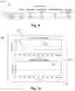 Fig. 08 - Slip detection and mitigation for an electric drive powertrain having a high ratio traction drive transmission