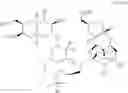 Fig. 735 - Synthesis of halichondrins