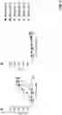 Fig. 08 - Antibodies binding to HLA-A2/MAGE-A4
