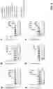 Fig. 09 - Antibodies binding to HLA-A2/MAGE-A4