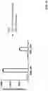 Fig. 20 - Antibodies binding to HLA-A2/MAGE-A4
