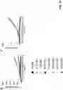 Fig. 22 - Antibodies binding to HLA-A2/MAGE-A4