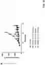 Fig. 24 - Antibodies binding to HLA-A2/MAGE-A4
