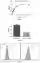 Fig. 02 - Peptide having high affinity for PD-L1 protein and use thereof