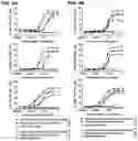 Fig. 16 - Antibodies