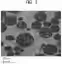 Fig. 04 - Curable resin composition and cured product thereof