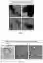 Fig. 06 - Biomaterials for 3D Cell Growth and Differentiation