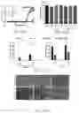 Fig. 33 - Biomaterials for 3D Cell Growth and Differentiation