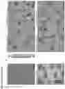 Fig. 08 - Method for stabilizing nucleic acid nanostructures