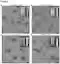 Fig. 10 - Method for stabilizing nucleic acid nanostructures