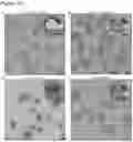 Fig. 16 - Method for stabilizing nucleic acid nanostructures