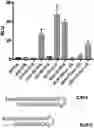 Fig. 01 - RIG-I Agonists and Methods of Using Same