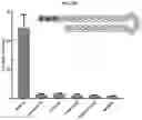 Fig. 07 - RIG-I Agonists and Methods of Using Same