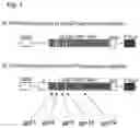 Fig. 02 - NUCLEOTIDE VACCINE