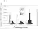 Fig. 09 - NUCLEOTIDE VACCINE