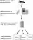 Fig. 01 - Genome-wide classifiers for detection of subacute transplant rejection and other transplant conditions