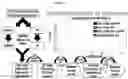 Fig. 09 - Genome-wide classifiers for detection of subacute transplant rejection and other transplant conditions