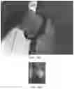 Fig. 13 - Valve device with cleaning wire