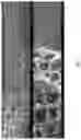 Fig. 02 - Fabrication of a phase change material (PCM) integrated insulation