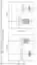 Fig. 21 - MELANOMA CHECKPOINT INHIBITOR DETECTION AND TREATMENT