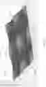 Fig. 10 - Optical film for back light unit and back light unit including same