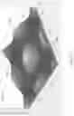 Fig. 12 - Optical film for back light unit and back light unit including same