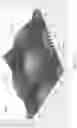 Fig. 13 - Optical film for back light unit and back light unit including same