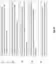 Fig. 14 - Coherent secondary rays for reflections in hybrid ray tracing