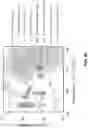 Fig. 45 - THREE-DIMENSIONAL PIEZOELECTRIC MATERIALS AND USES THEREOF