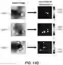 Fig. 23 - System and method to maintain health using personal digital phenotypes