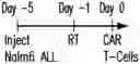 Fig. 01 - LOW DOSE RADIATION CONDITIONING FOR IMMUNOTHERAPY
