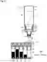 Fig. 13 - Ink refill container and ink refill system