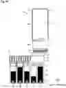 Fig. 17 - Ink refill container and ink refill system