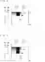 Fig. 06 - Printing apparatus and printing method