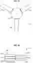 Fig. 16 - Foldable rotor assembly for fixed-wing VTOL aircraft