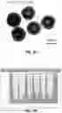 Fig. 05 - Water-based hydrolysis method for forming hollow particles