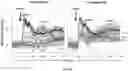 Fig. 07 - Compounds and pharmaceutical compositions for reducing CD95-mediated cell motility