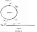 Fig. 02 - Compositions and methods for treating viral infections